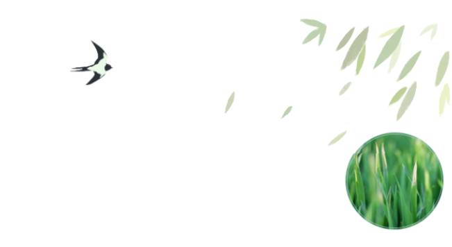 员工随笔丨抗“疫”过年，各人都还好吗？