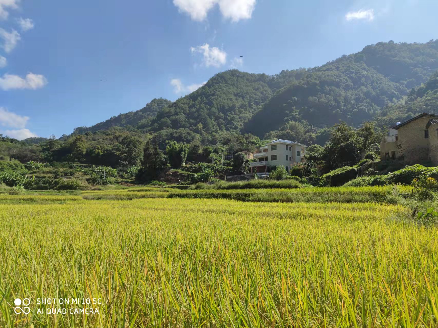 复原（补充）耕地项目怎么干？亿万先生MR有话说