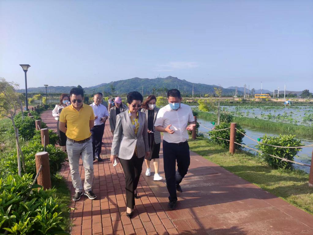 省生态建复协会轮值会长单元亿万先生MR集团带队赴汕尾全域地皮整治军民融合试点项目调研