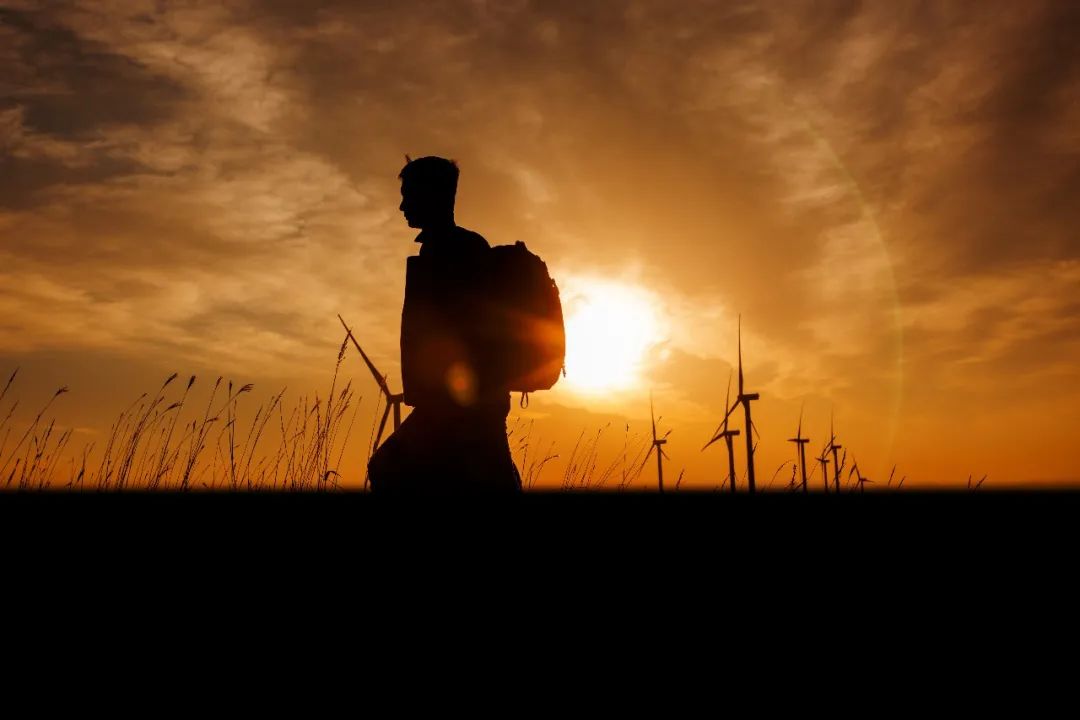 亿万先生MR12周年征文丨一等奖《此心安处是吾乡》