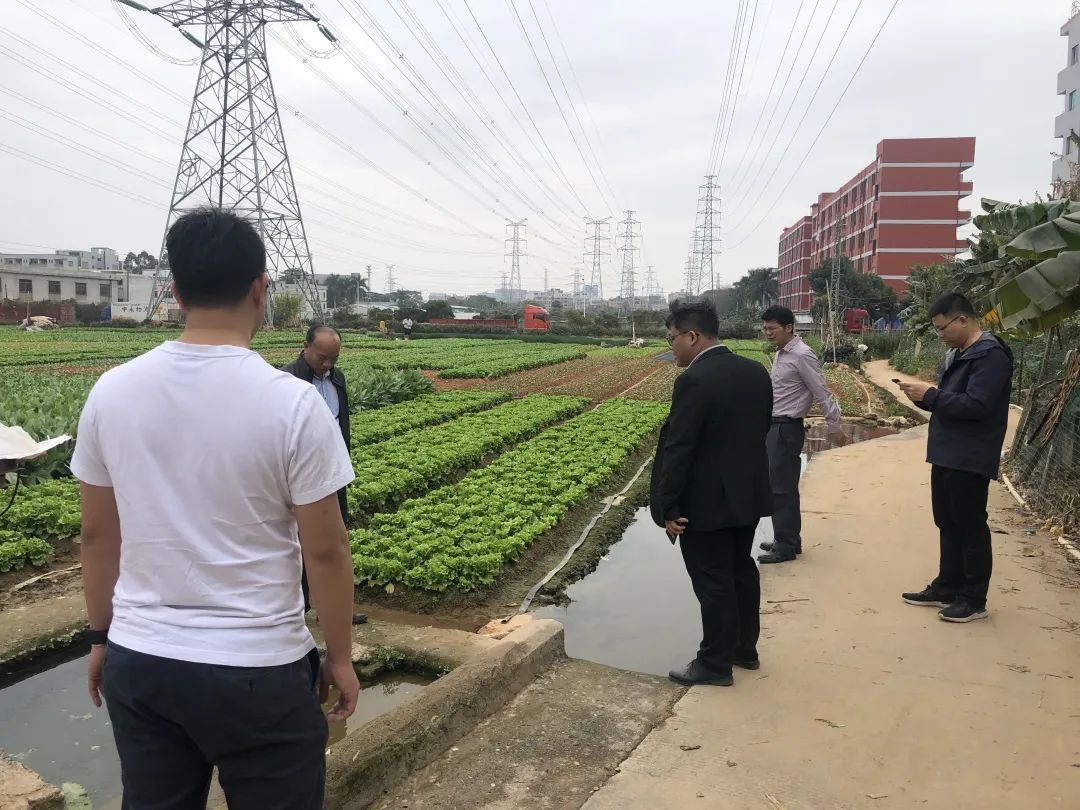 助力村落振兴，亿万先生MR一向在致力！