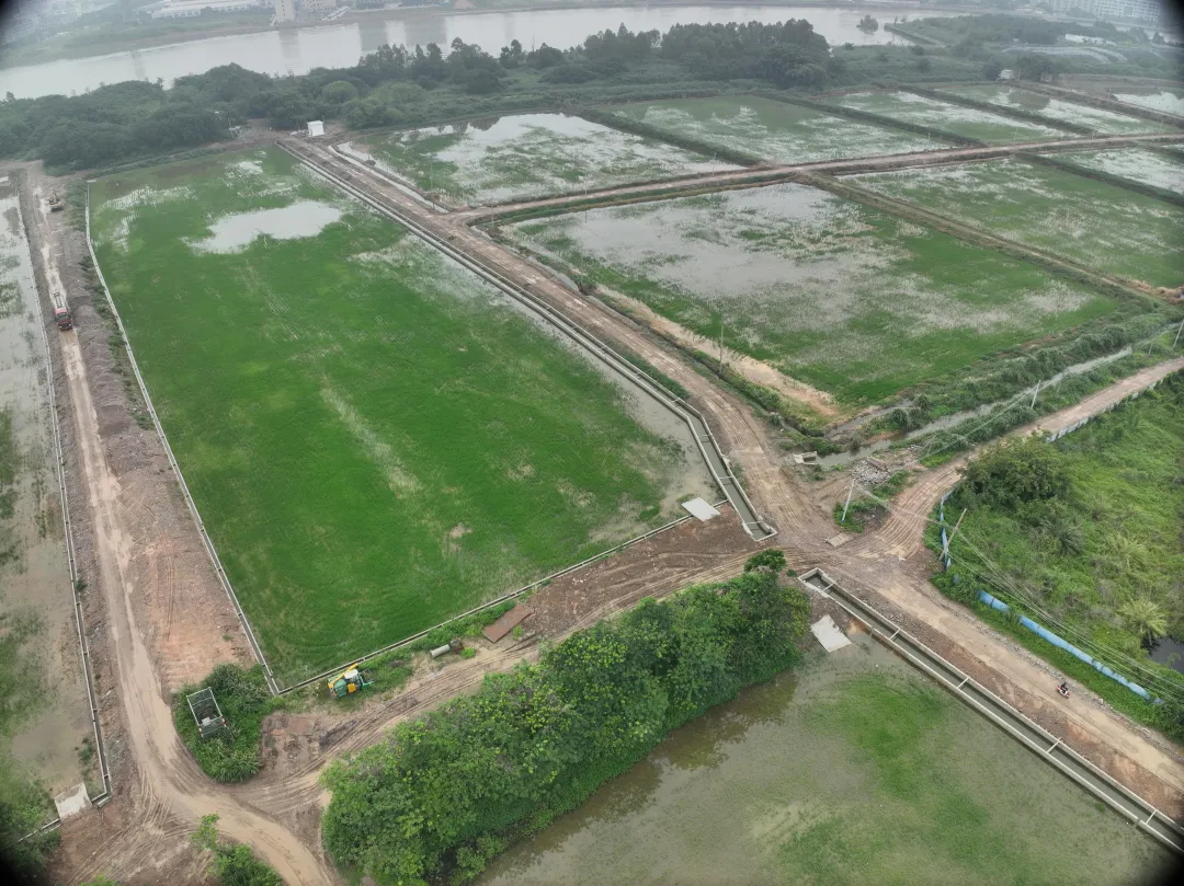 亿万先生MR集团丨复耕路滘撂荒地，绘就田园新图景