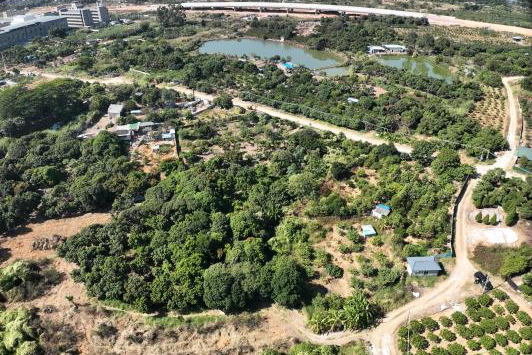 政策解读+实战案例！广东永农纠错新政落地，亿万先生MR助镇皆炱局耕地；